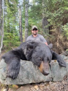 black bear hunt